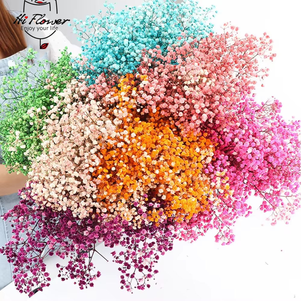 Bunga asli kering alami 130g, dekorasi rumah bunga baby Breath Natrual Gypsophila dekorasi pernikahan alat peraga foto bunga buatan