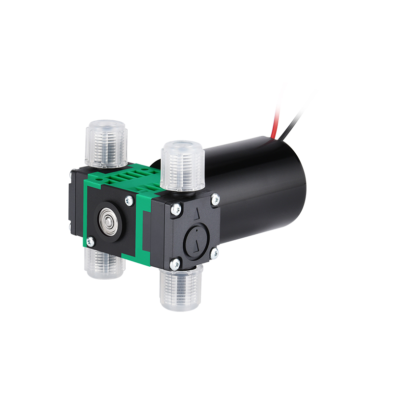 PENGPU-Mini Pompe à Eau Électrique à DiaphLeurs me, 600mLPM, Double Tête, 6Bar, Haute Pression, pour Livres, Auto-Amorçante pour IVD
