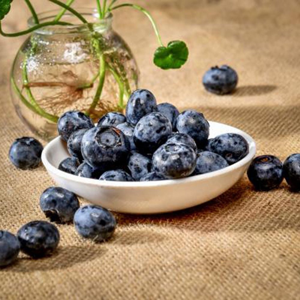 20Pcs Hoge Simulatie Fruit Plastic Nep Blueberry Foto Props Fruit Thuis Kunstmatige Voedsel Bosbessen Fruit Winkel Model Decor