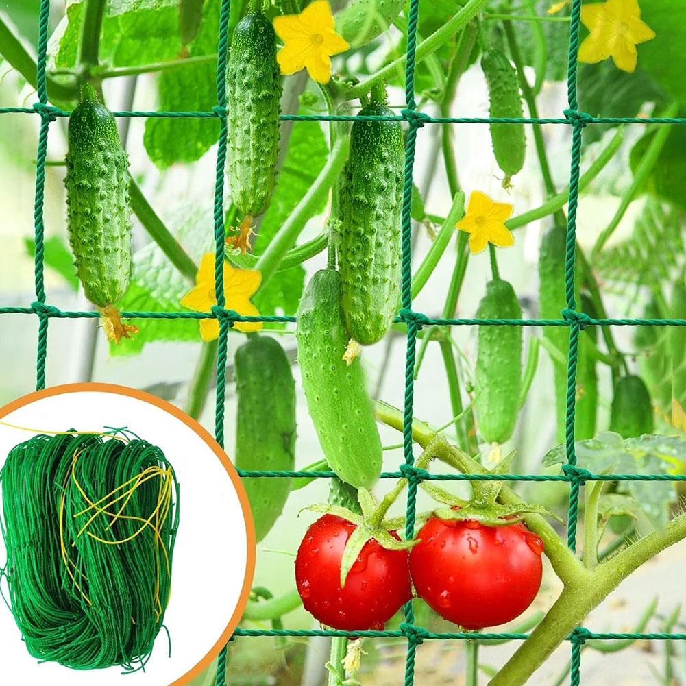 Grillage de jardin en nylon robuste pour plantes grimpantes, maille épaisse verte pour légumes, fruits, fleurs et cultures ﻿