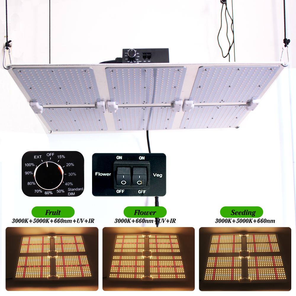 Neueste Quantum-Tech LED-Pflanzenlampe 2025 – 3000K 5000K Mix 660nm UV LM301H Evo für den Innenanbau – Veg/Blüten-Kontrolle