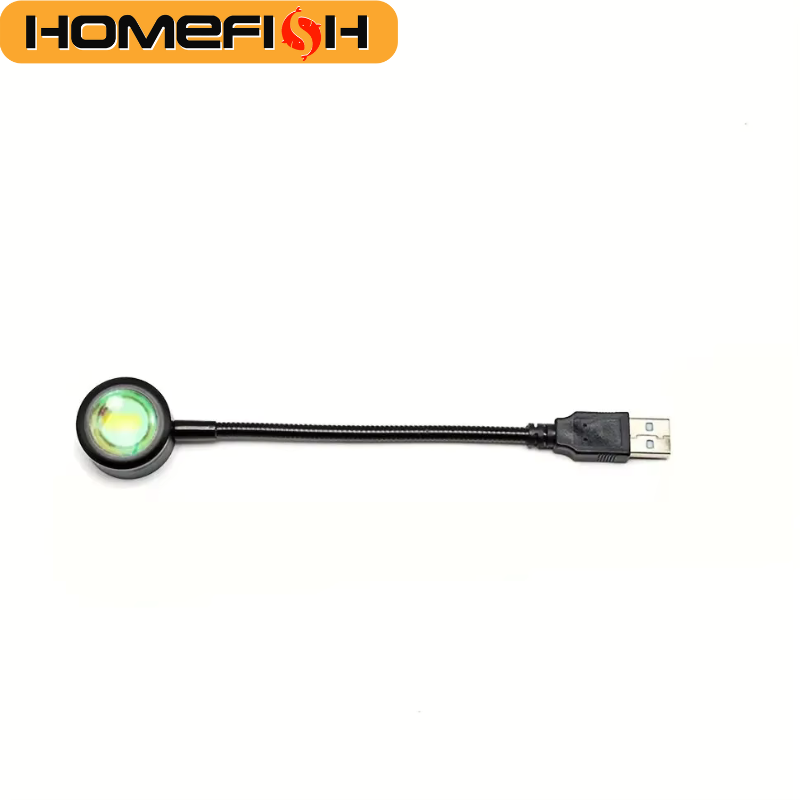 ホームフィッシュ USB ルームフォト アトモスフィアライト