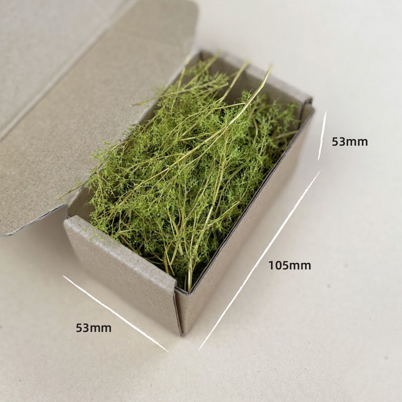 乾燥草モデルキットキヌア植物 DIY 軍事砂テーブルシーン材料ジオラマ HO 鉄道風景レイアウトモデル作成