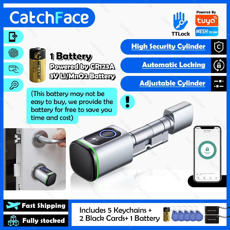 Euro Tuya TTLock APP Vingerafdruk RFID-kaart DIY-cilinderslot Biometrisch elektronisch slim deurslot Digitaal sleutelloos vervangen