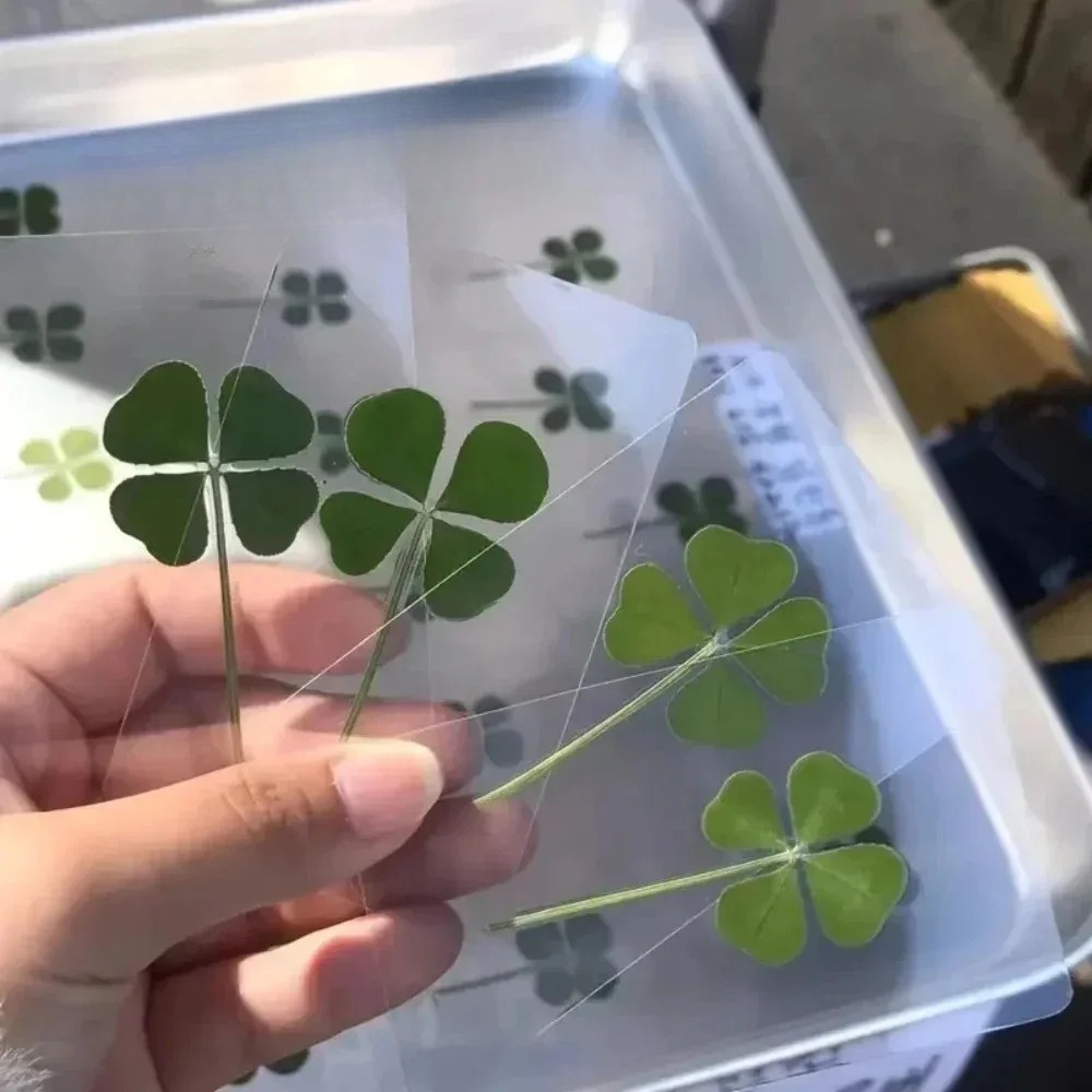 Lucky Clover Postcards Grass Transparent Wishing Cards Ideal for Bookmarks & Decorations Perfect Holiday Gifts