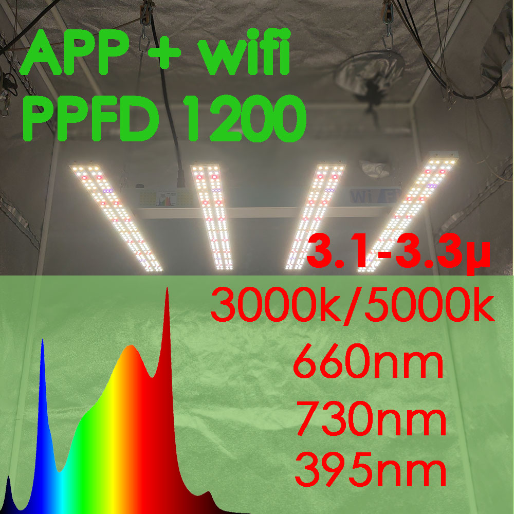 SOLIDEE APP-WLAN-Steuerung 240 W Quick Spider L2 LED-Wachstumslicht PPFD bis zu 1200, verwendet für Pflanzen-Hydrokultur-Anbausysteme