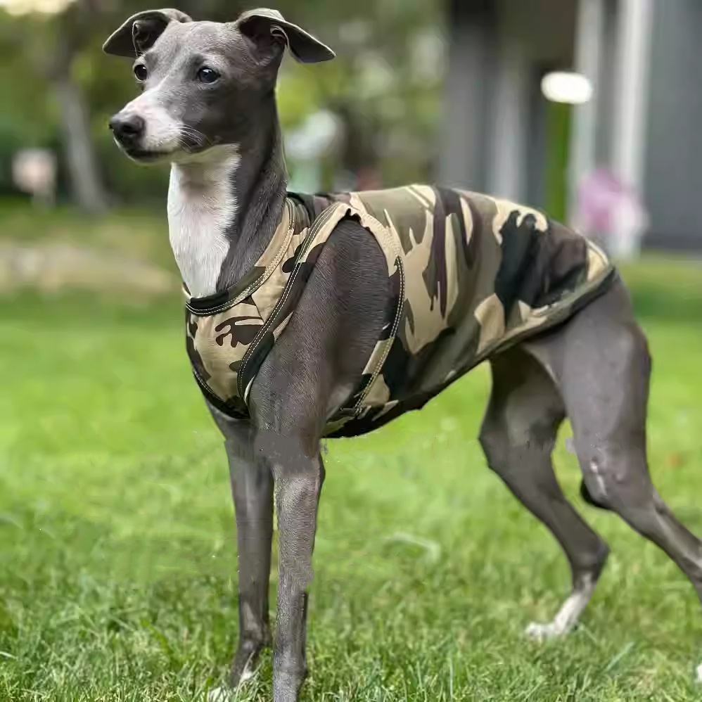 Italië Greyhound Green Camouflage Racer Vest Votton Odal Cold Fabric Huidvriendelijk Lente en zomer Dun T-shirt voor Whipbit Dog