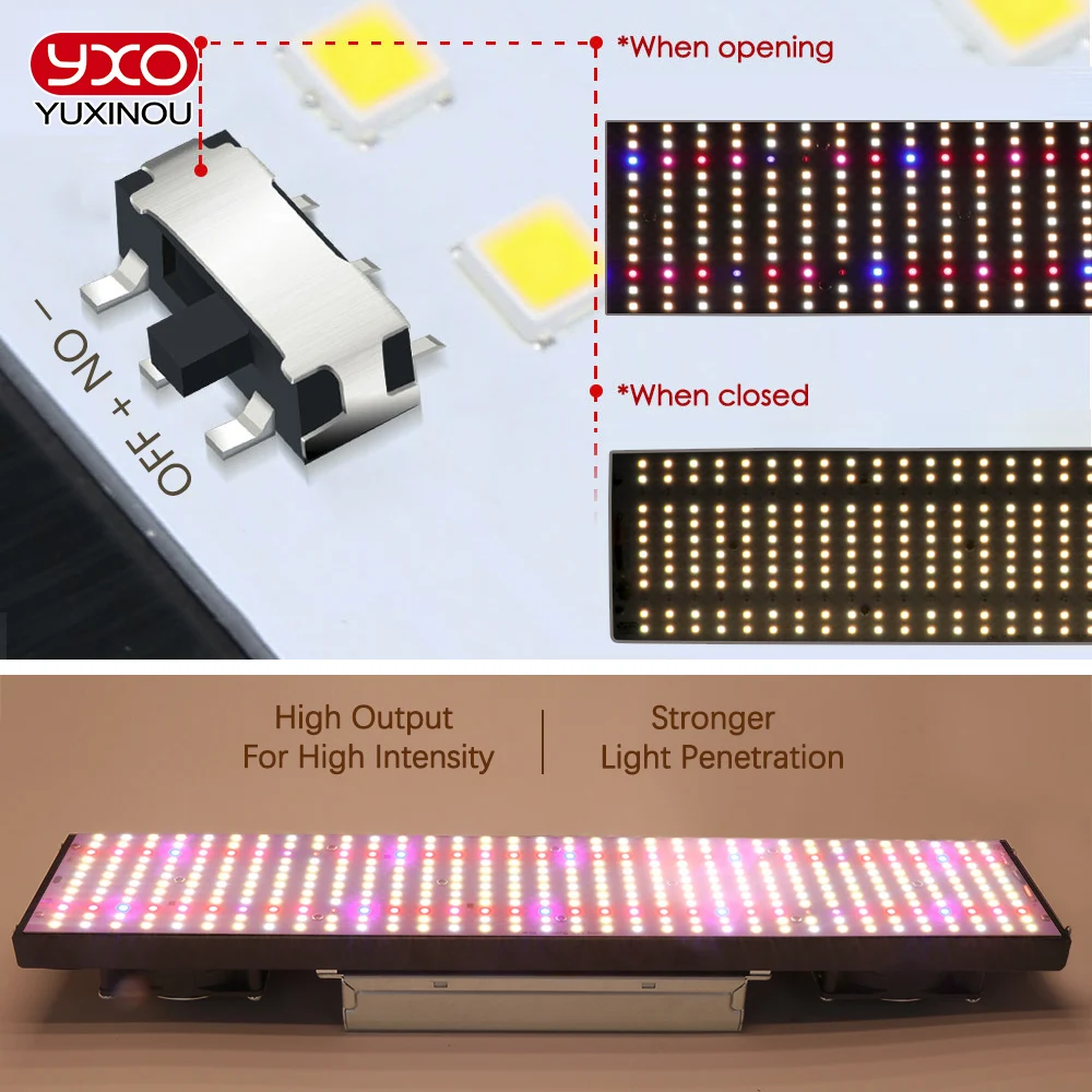 Luz LED para Cultivo Hidropônico 240W 480W 720W LM301H Phytolamp Quantum Tech LED Board para Crescimento de Plantas em Estufas