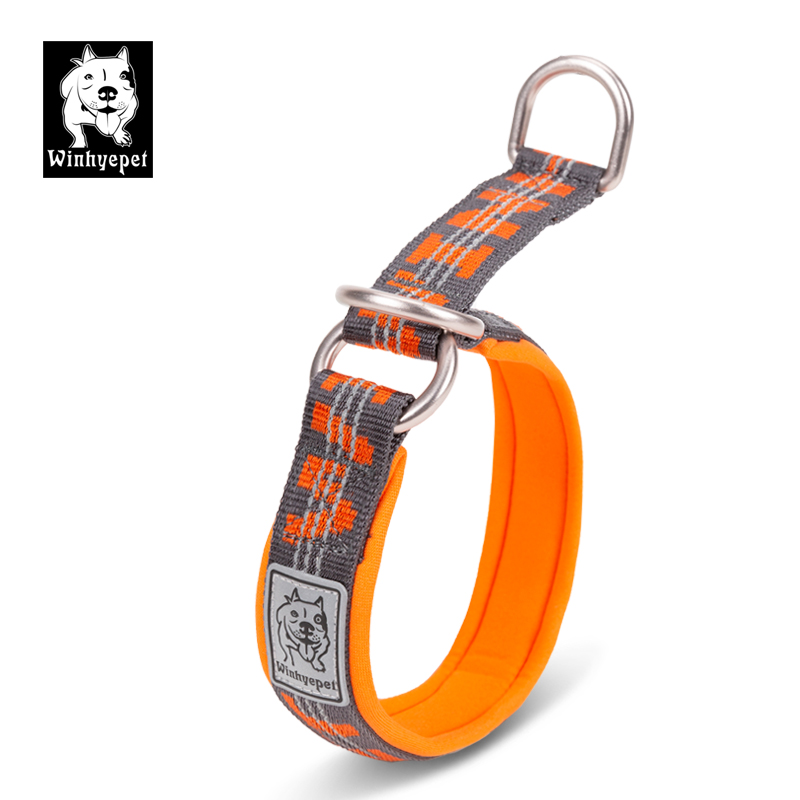 Truelove Huisdier Kraag P Keten Reflecterende Nylon Neopreen Half Choke Training Lichtgewicht Wasbare Sport YC1852