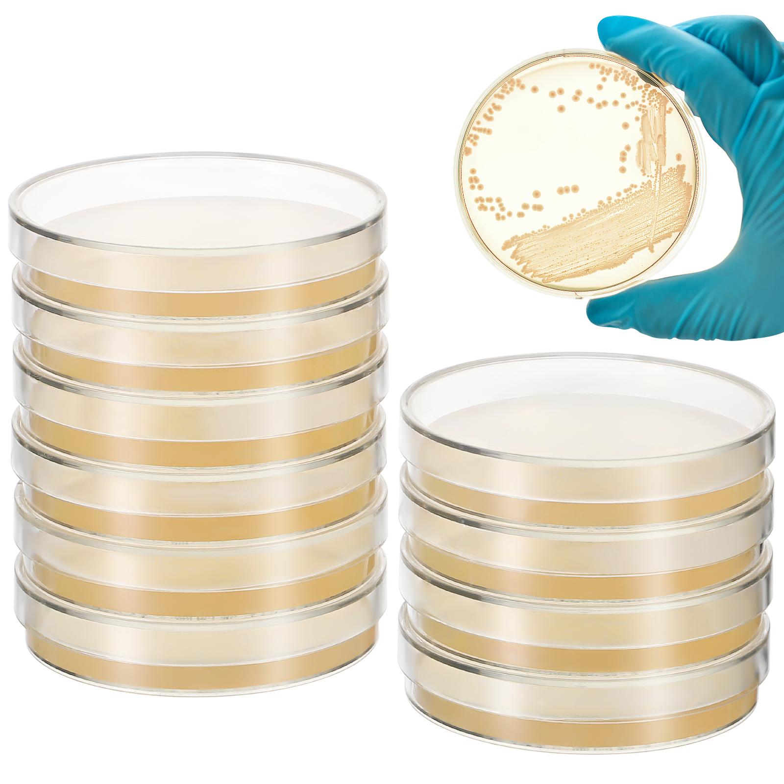 10 stuks voedingsagarplaten petrischalen 7 cm voorgegoten wetenschappelijk gereedschap STEM onderwijs microbiologie