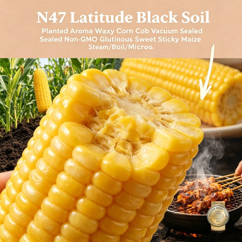Maíz Glutinoso Negro N47 Latitude, Sin Transgénicos, Dulce y Cremoso, Envasado al Vacío, Apto para Microondas, Vapor, Parrilla, Desayuno, Barbacoa, Bocadillo
