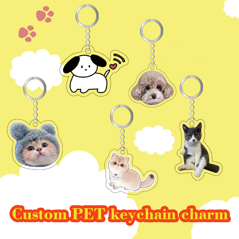Llaveros personalizados de diseñador, Llavero de dibujos animados personalizado, foto personalizada, dijes de Anime, llaveros acrílicos transparentes con holograma