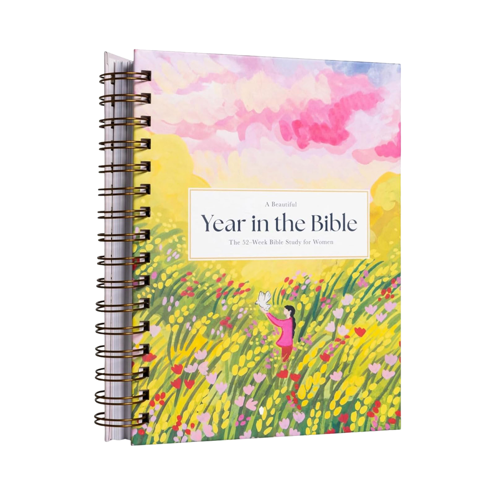 Een mooi jaar in de Bijbel 52 weken Christelijk dagboek Dame Religieus notitieboekje Vrouwen Bijbelstudie Notitieboekje Religieus notitieboekje
