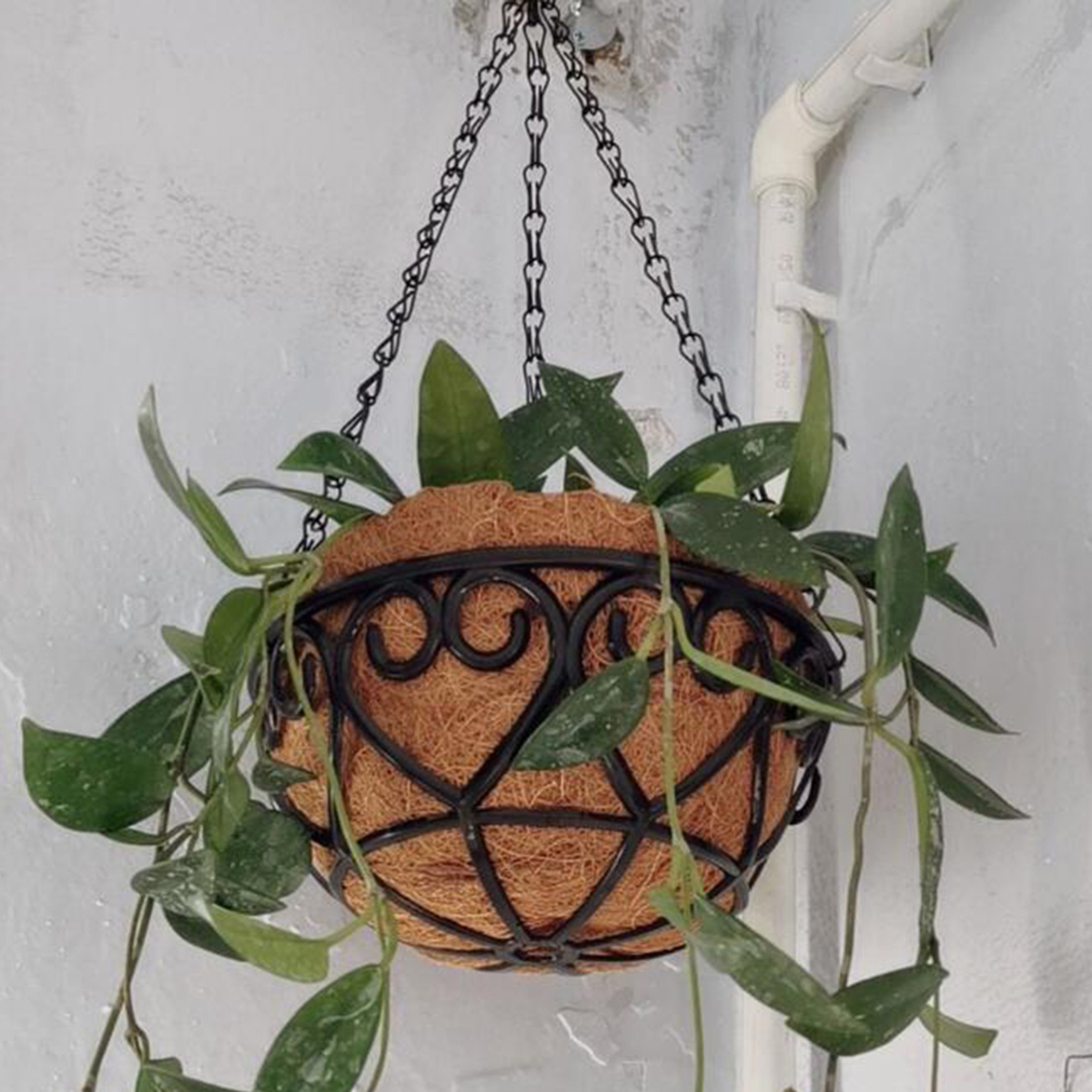 Cesta de suspensão redonda de ferro marrom coco vaso de flores europeu criativo carnoso planta verde clorophytum comosum vaso de flores