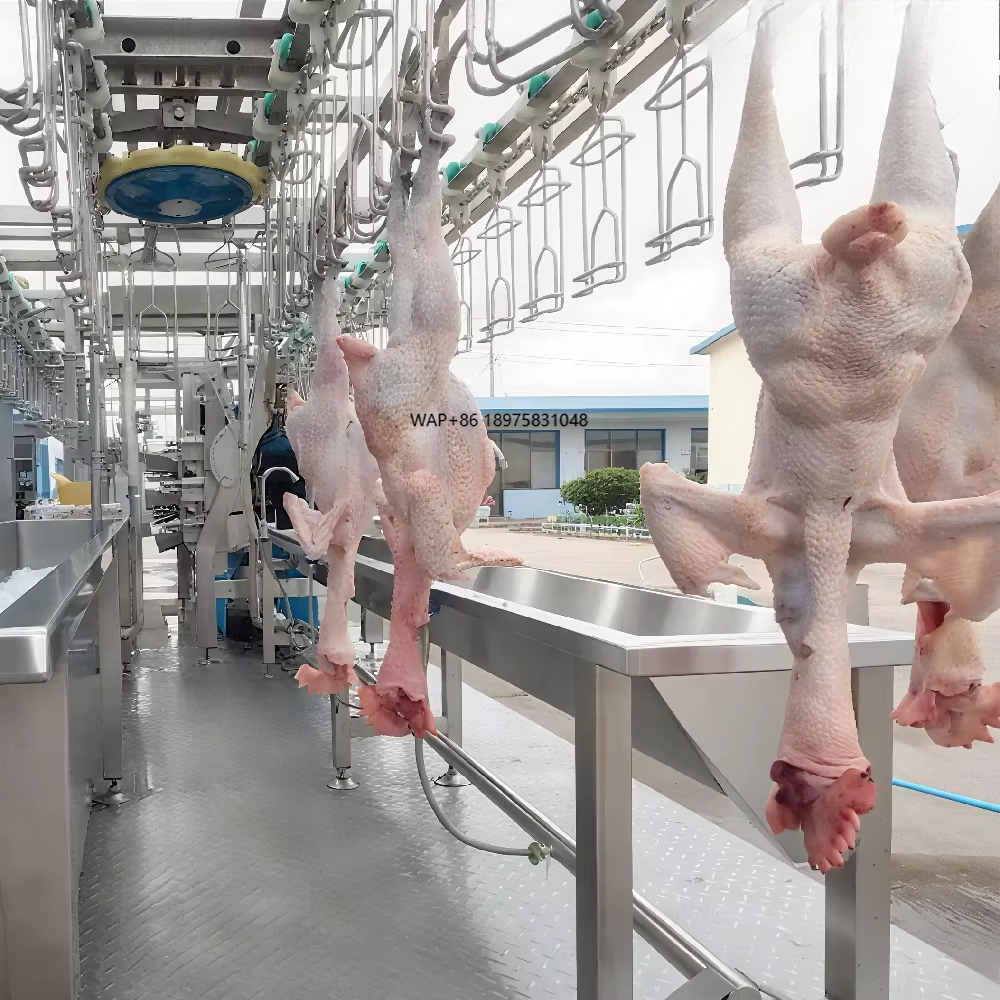 小型鶏肉自動処理装置・屠殺処理ライン