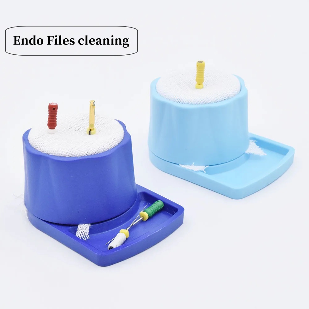 Esterilizador de Autoclave Dental, soporte de limpieza de archivos Endo, soporte de plástico, funda, fresas para herramientas de cuidado bucal, 1 Uds.