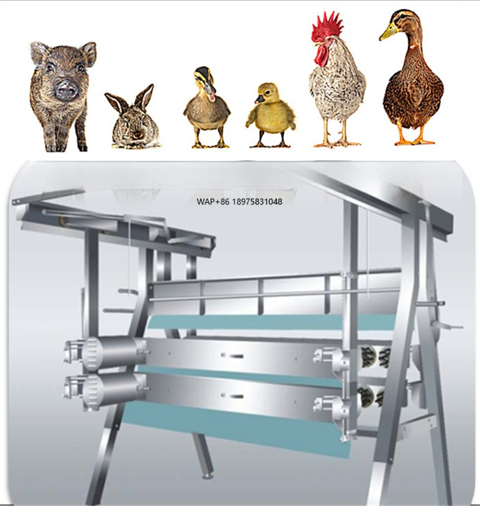 Halal Chicken Slaughterhouse Machine Small Poultry Slaughtering Equipment Automatic Engine Manufactured Chicken House Plant for