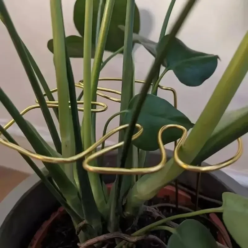 Poteau de Support Monstera robuste en forme de Monstera, Installation facile, Support décoratif pour plantes, Support pour plantes en forme de bambou