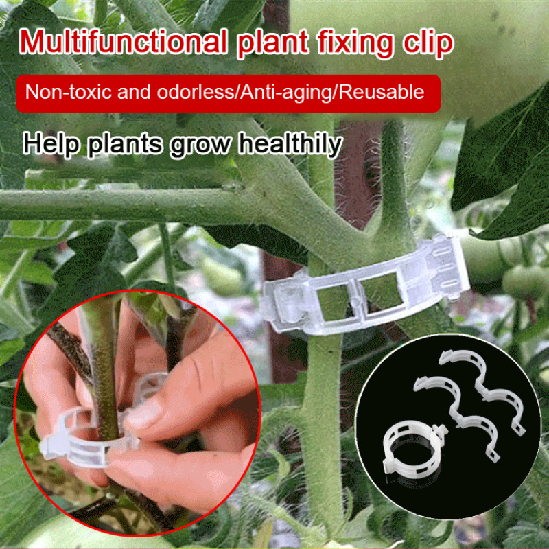 Clips de Sujeción para Plantas, Pinzas para Flores, para Enredaderas, Vegetales, Ramas, Herramienta de Fijación para Injertos