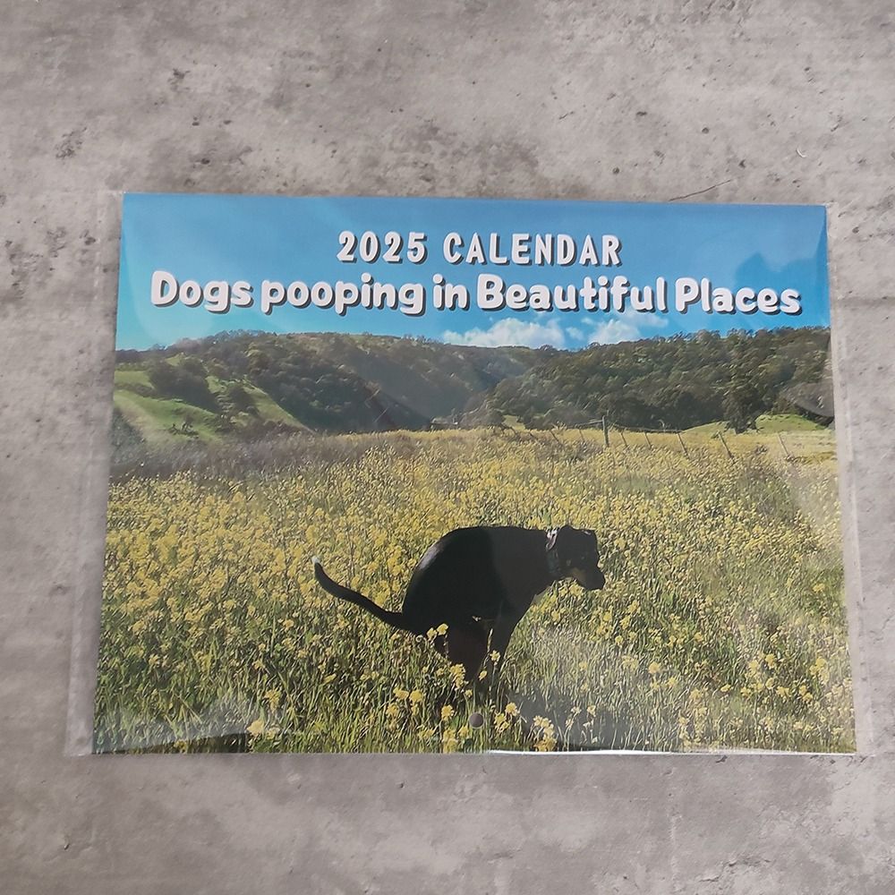 Calendario de pared de perros divertidos, planificador diario semanal mensual, creativo, regalo de escritorio divertido, 2025