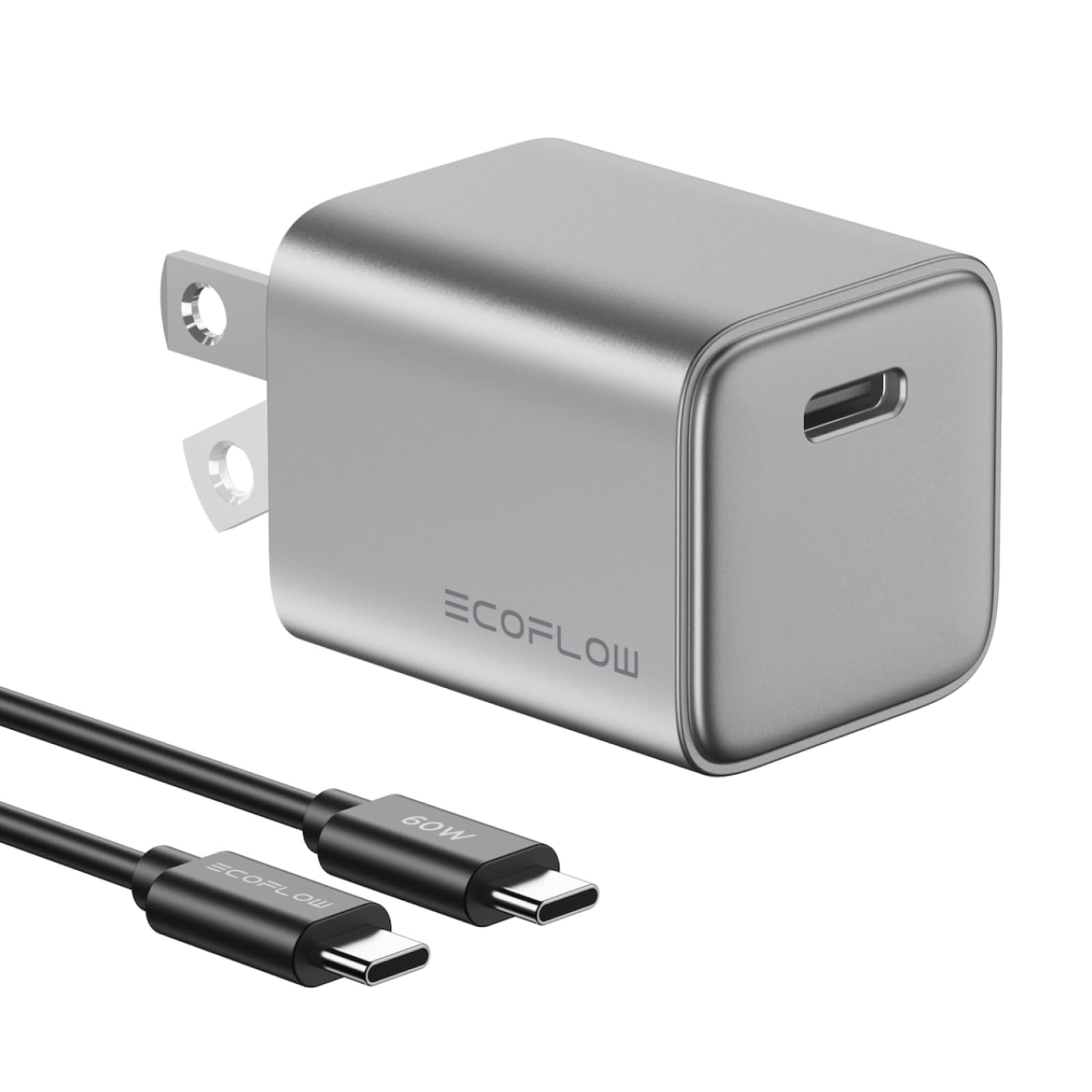ECOFLOW pengisi daya USB C, blok pengisian daya Tipe C GaN 20W/30W/65W cepat dengan colokan bisa dilipat, kompatibel dengan iPhone (kabel incu USBC)