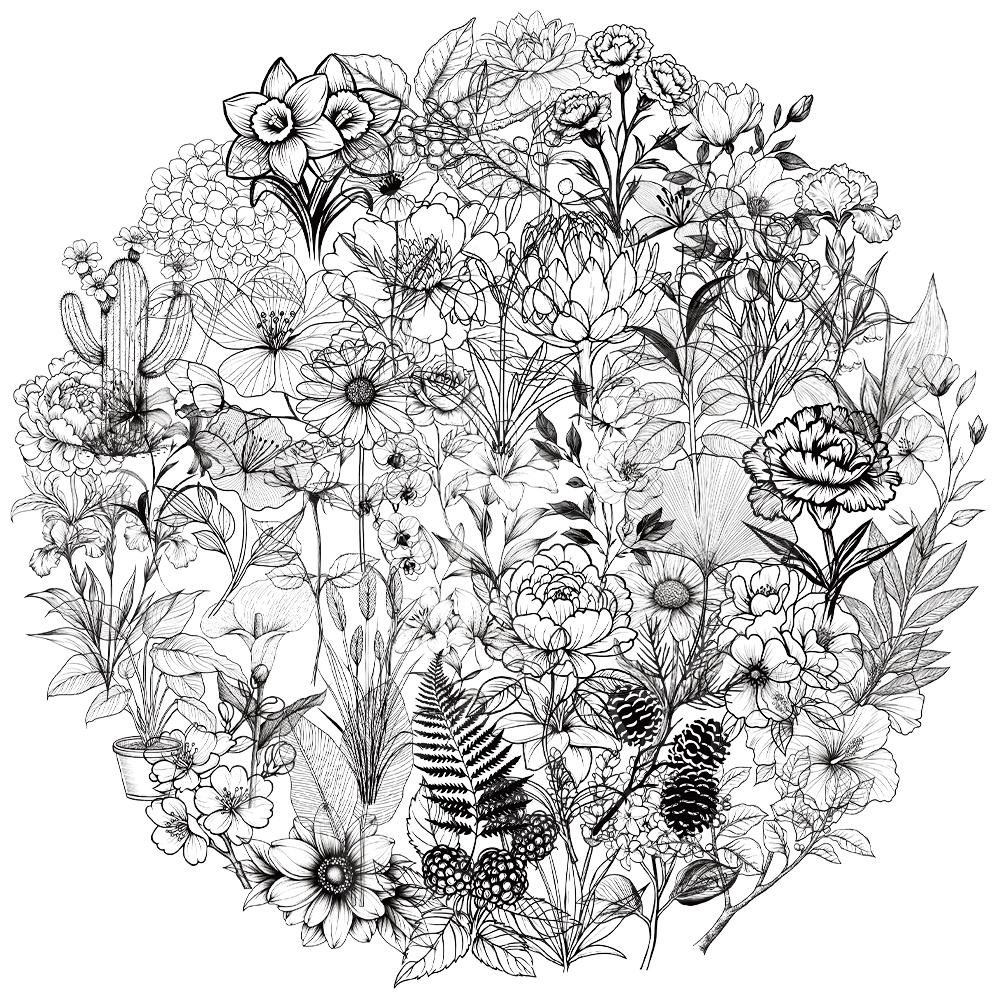50 pçs criativo preto e branco ins estilo planta adesivos decorativos casos de telefone, contas de notebook diy adesivos personalizados