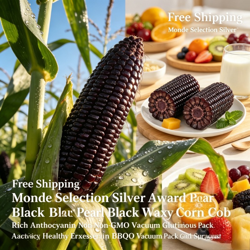 Maíz Glutinoso N47 Black Soil Black Pearl Waxy Corn Cob, Sin OGM, con Antocianina, Snack Dietético, Envío Gratis