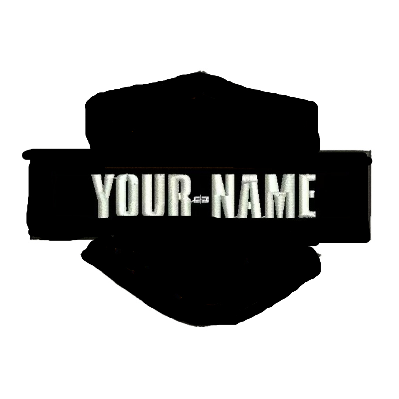 Custom Brand Logo Bordado Eagle Patches, Ferro em Sew, Emblema da motocicleta, Colete, Jaqueta, Roupas DIY, Decoração Adesivos