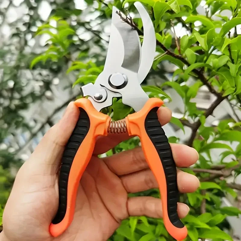 Forbici orticoliche Potatura di rami a forma di becco di uccello Potatura a risparmio di manodopera Picking in acciaio inossidabile Forbici per frutta multifunzionali
