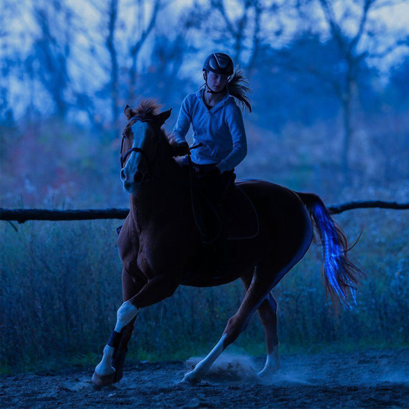 100CM Aufladbare LED Pferd Schwanz USB Lichter Dekoration Leuchtende Röhren Pferd Harness Reitsport Outdoor Sport Blinkende Ridin