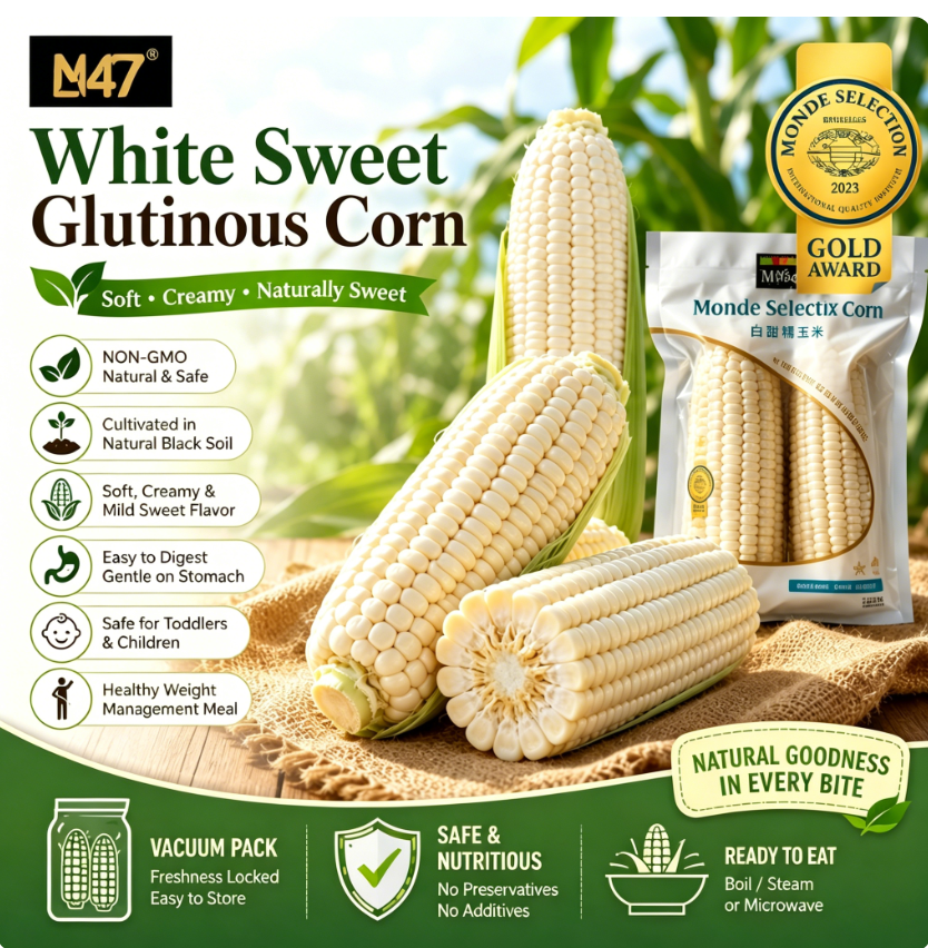 Monde Selection Gold Award N47 Witte Zoete Waxy Maïs Kolf Zonder Toevoegingen Pesticidevrij Natuurlijk Gewonnen Op Hoge Latentie Zwart Bodem Geënt Niet-GMO Vacuümverse Kleverige Maïs Zachte Kauwbare Geurige Premium Gezonde Cadeauoptie Snel Verwarmbaar Voe