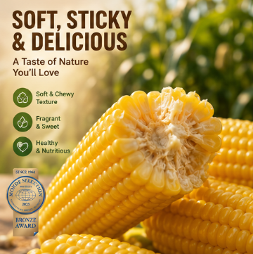 Multi Cooking Witte Zoete Waxy Maïs op de Kolf Beiwei 47 N47 Gold Award Vacuümverse Kleefmaïs Zachte Romige Mild Zoete Smaak Geschikt voor Stomen Koken Braden Soep Salade Non-GMO Natuurlijk Boerderijproduct Volkoren Keuken Grondstof
