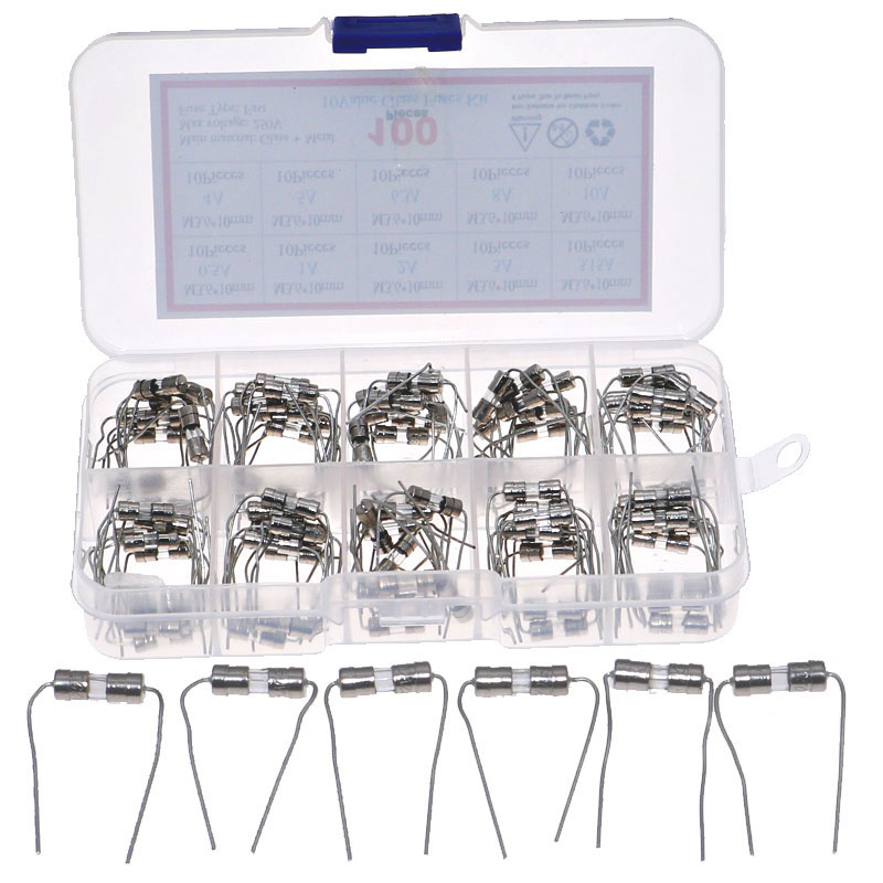 100 Uds 10 valores 3,6*10mm 250V doble tapa de hierro caja de kit de fusibles de vidrio lento Axial con cable de plomo 0.5A 1A 2A 3A 3.15A 4A 5A 6.3A 8A 10A
