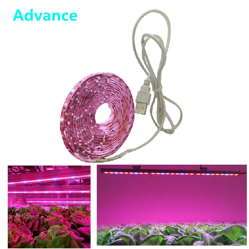 Lampe horticole de croissance LED USB, 0.5m/1m/2m, 2835, puce phyto pour serre/chambre de culture hydroponique, plantes et fleurs