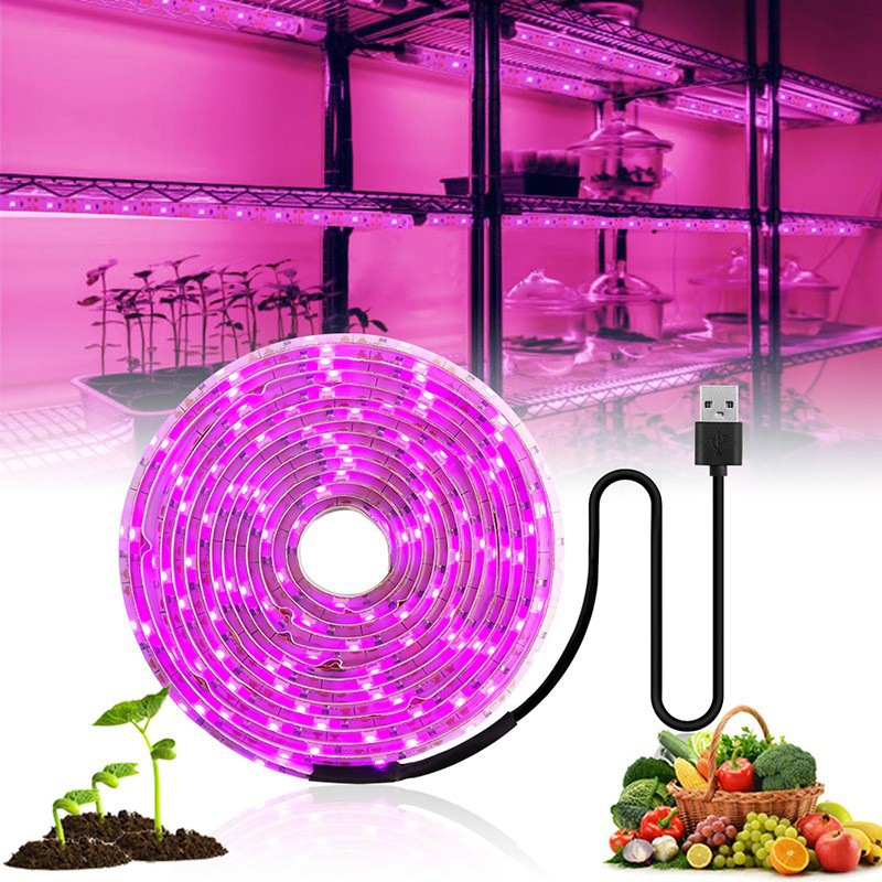 Plante lumière grandir bande LED 5V USB LED 1-5m puce LED à spectre complet pour serre fleur semis cultiver tente hydroponique