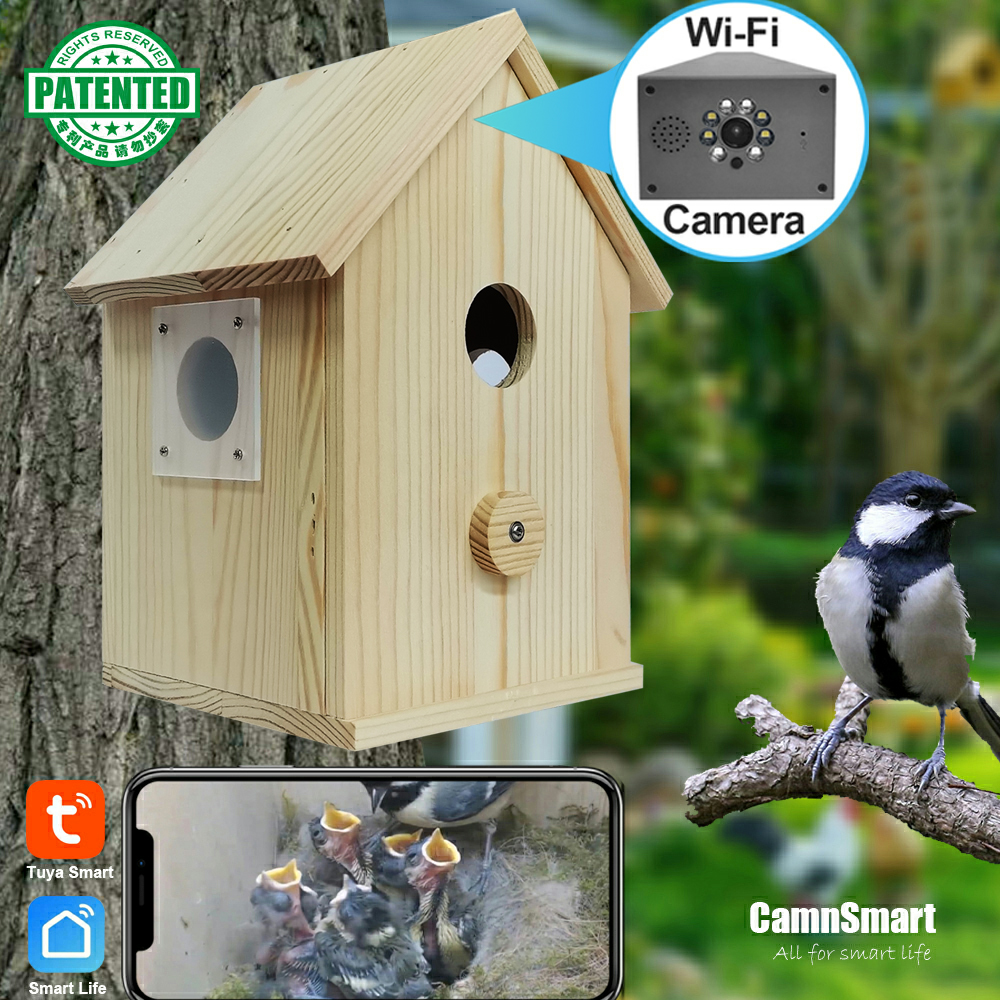 Smart Tuya Bird House 4-мегапиксельная HD Wi-Fi камера Беспроводная Birdbox с ночным видением Запись видео SD-карты Воспроизведение в реальном времени DIY Подарок