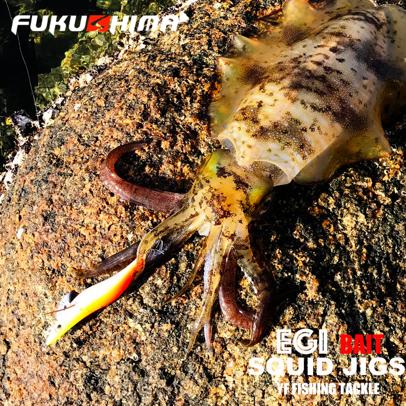 ДЖИГ FUKUSHIMA 2-3,5 SQUID JIGS EGI LURE РЫБАЛЬНАЯ ДЕРЕВЯЩАЯ ОБРУЧКА BAIT CUTTLEFISH OCTOPS GLOW TAIL SHARP HOOKS 21GRAM ROCK & BOAT FISHING